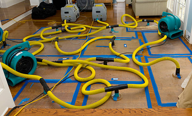 Professional Water Damage Restoration technician working in Cochranton, PA
